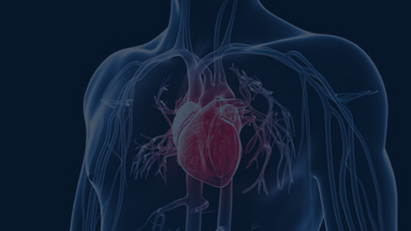 Disorders of the Heart Muscle, Pericardium & Pulmonary Vasculature