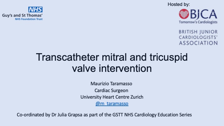 Transcatheter mitral and tricuspid valve interventions